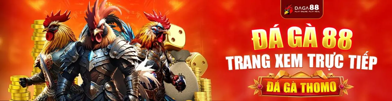 Trận đấu đá gà trực tiếp kịch tính tại KU68 link mới